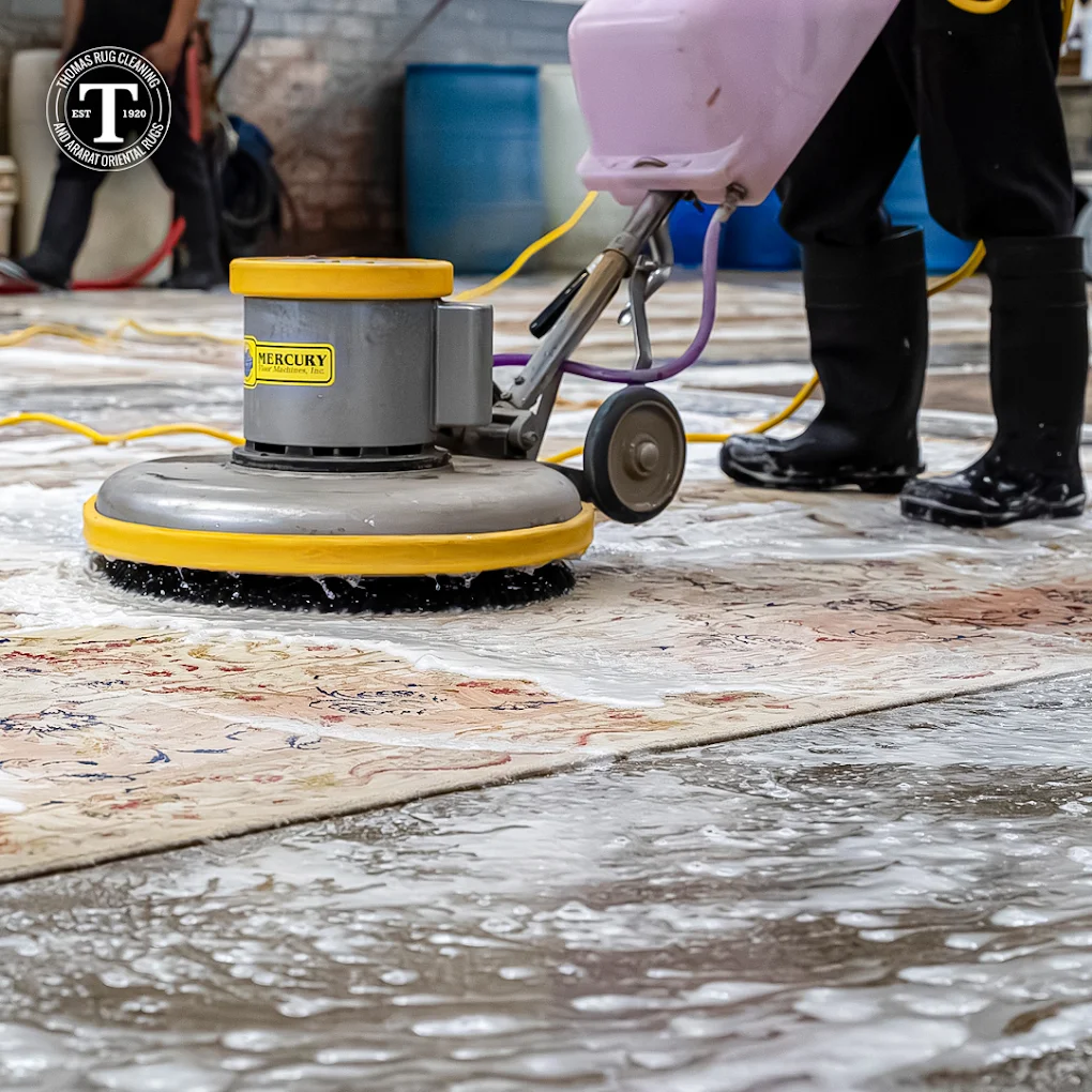 Thomas Rug Cleaning Co. & Ararat Oriental Rug