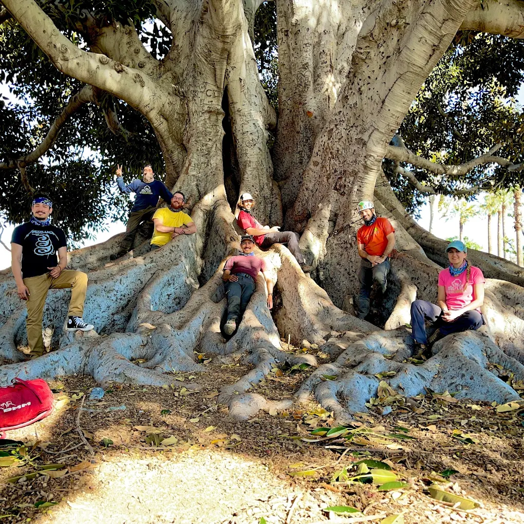 TreeCareLA