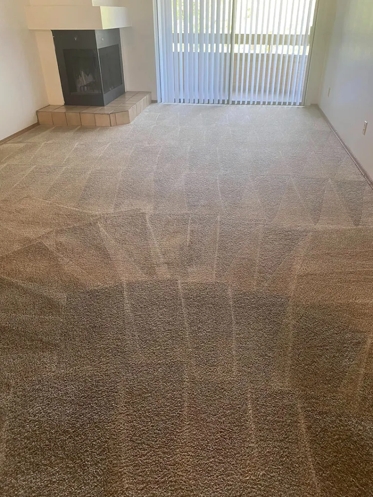 PureClean Carpets