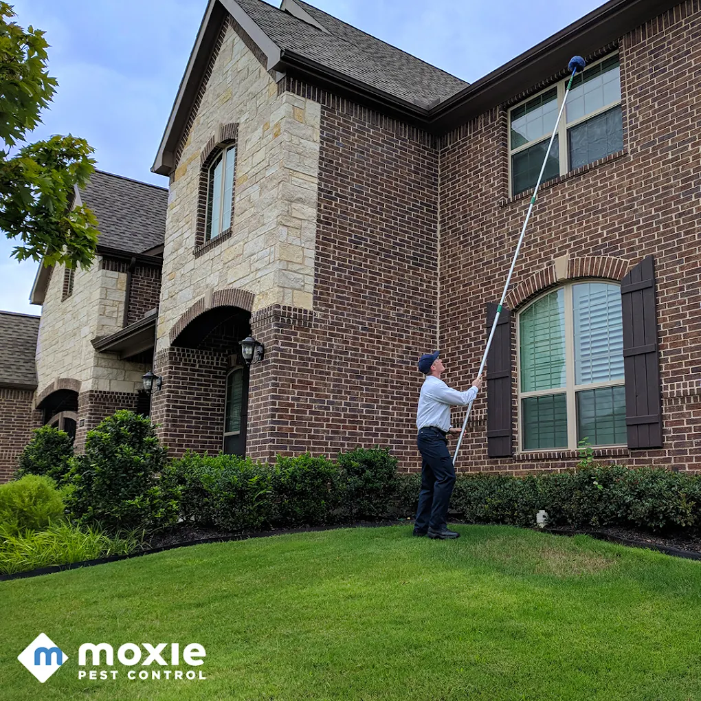 Moxie Pest Control