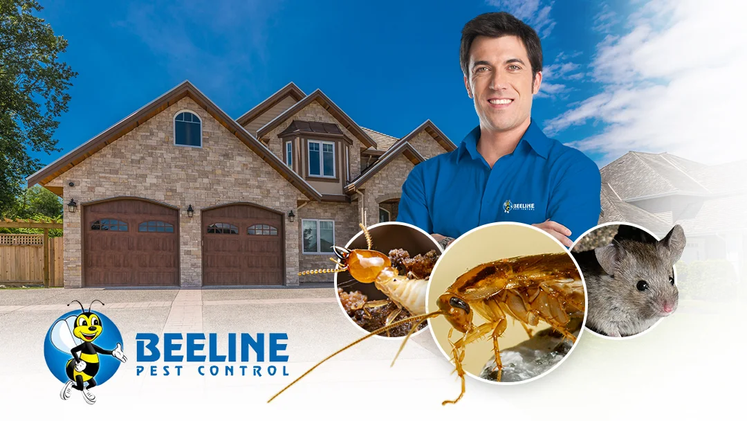 Beeline Pest Control