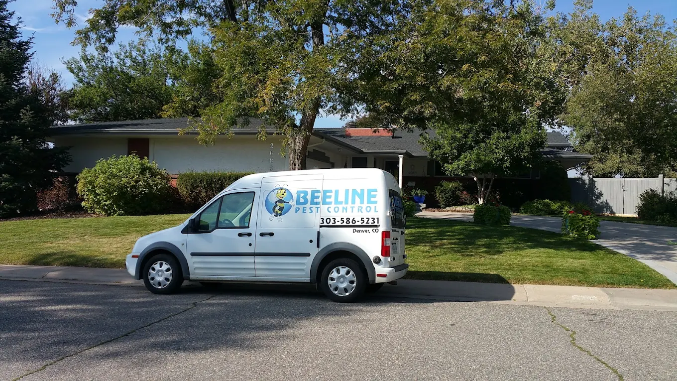 Beeline Pest Control