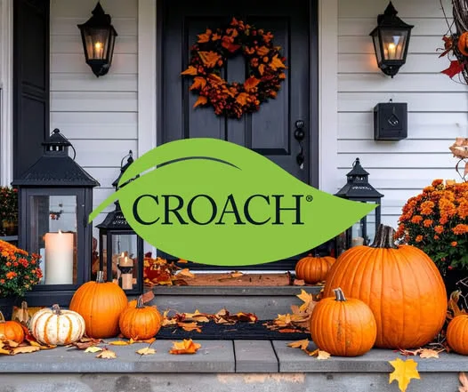 Croach Pest Control