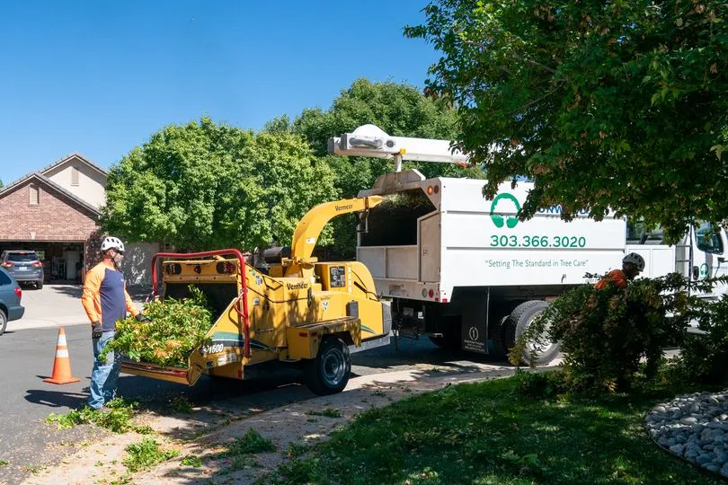 Ironwood Earthcare