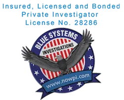 Blue Systems Investigations