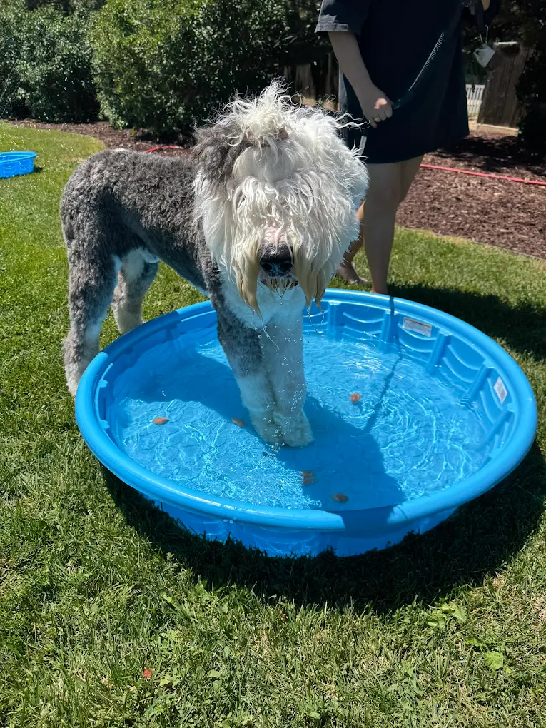 Tenaker Pet Care Center, Inc.