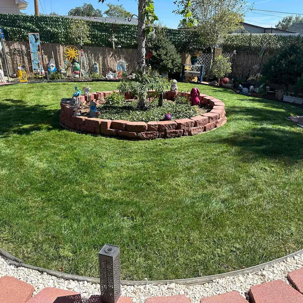 LawnStarter Lawn Care Service