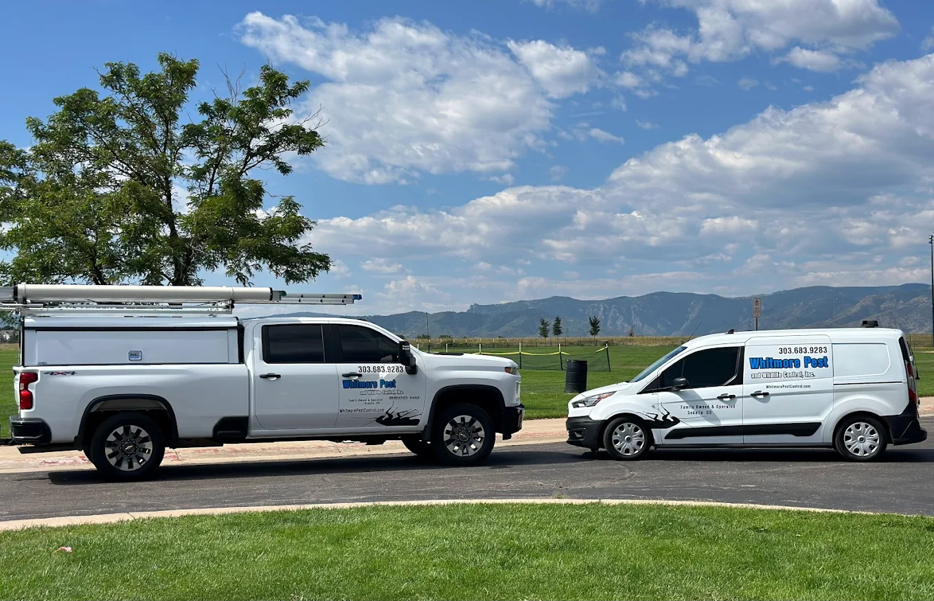 Whitmore Pest & Wildlife Control