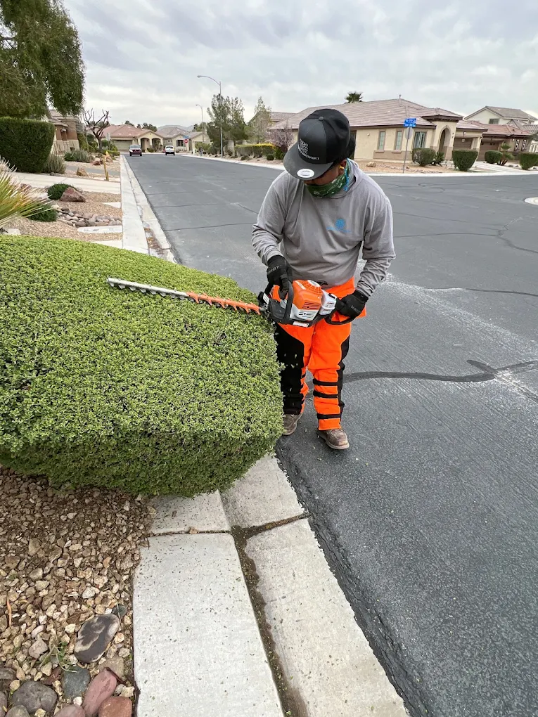 Jr's Lawn Maintenance LLC.