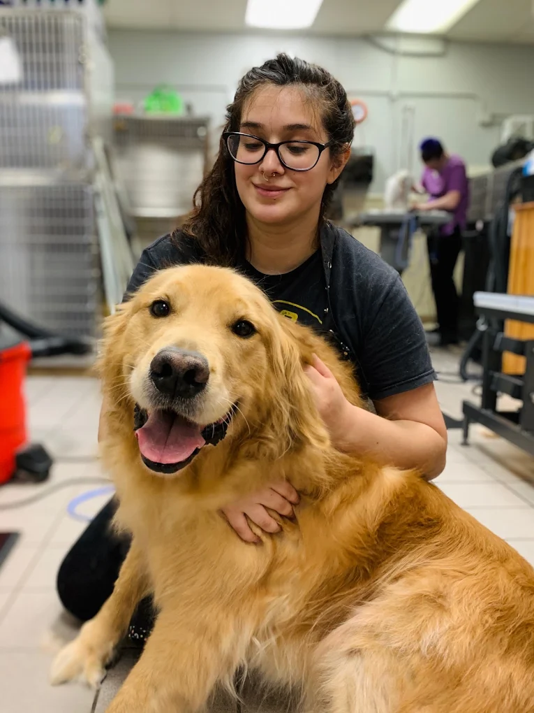 Townhouse Pet Care