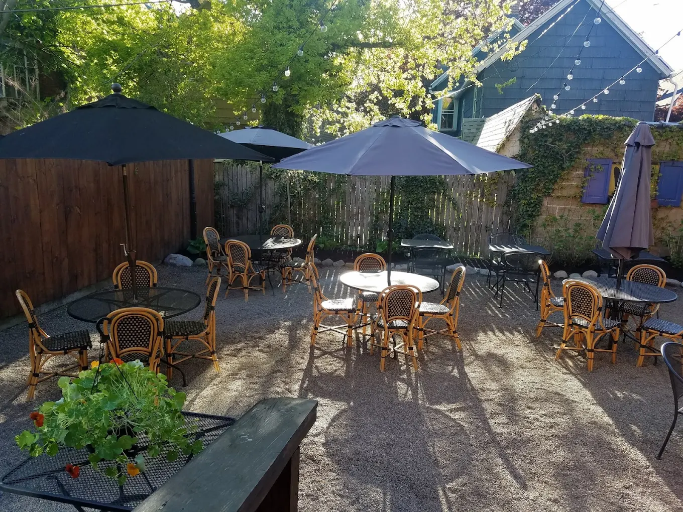 Coco Bar & Bistro