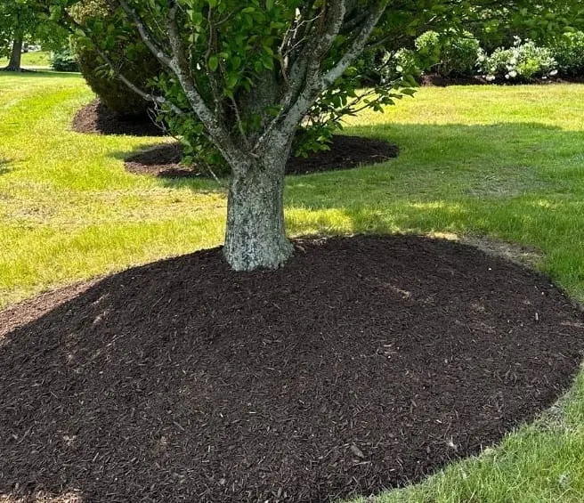 Prime Landscapers