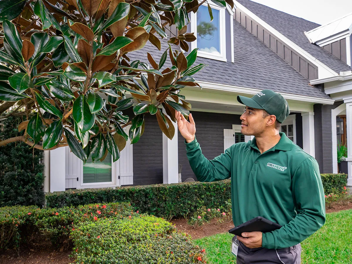 TruGreen Lawn Care