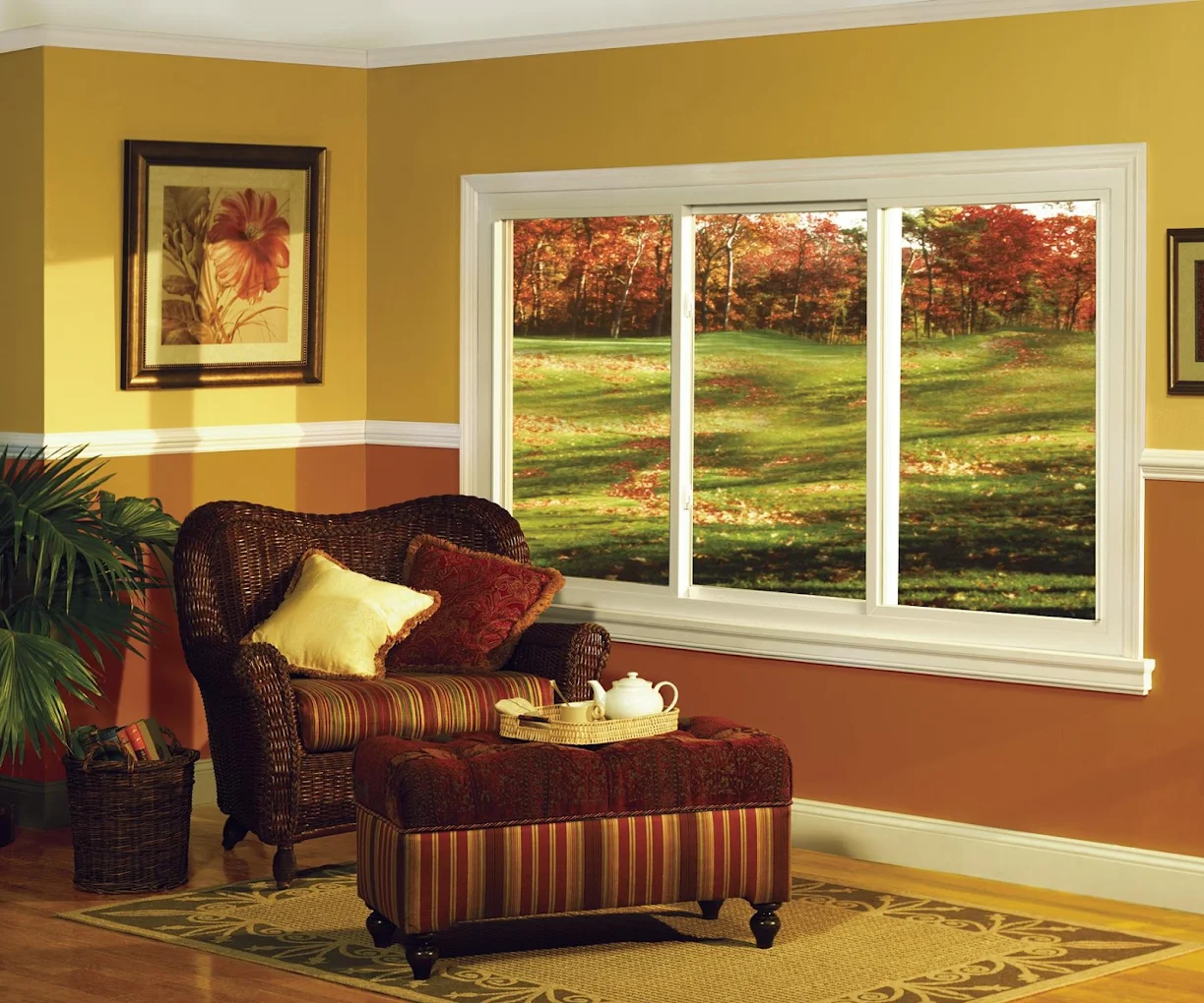 Wonder Windows
