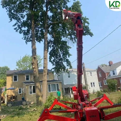 KD Tree 