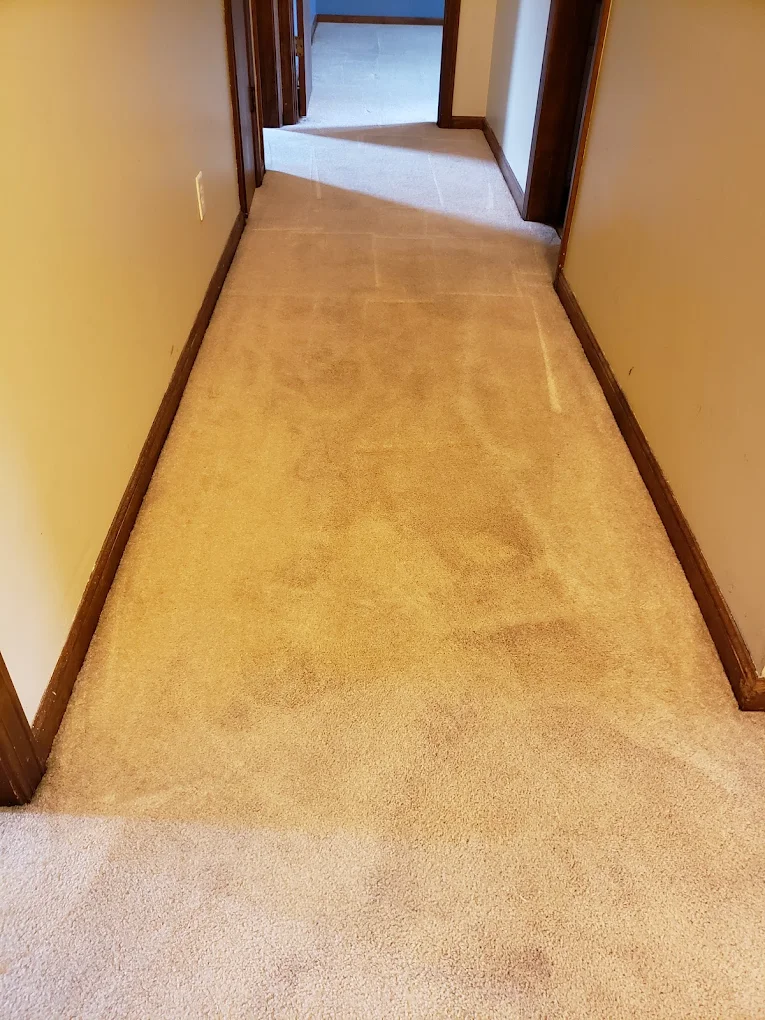 Northeast Carpet Cleaning