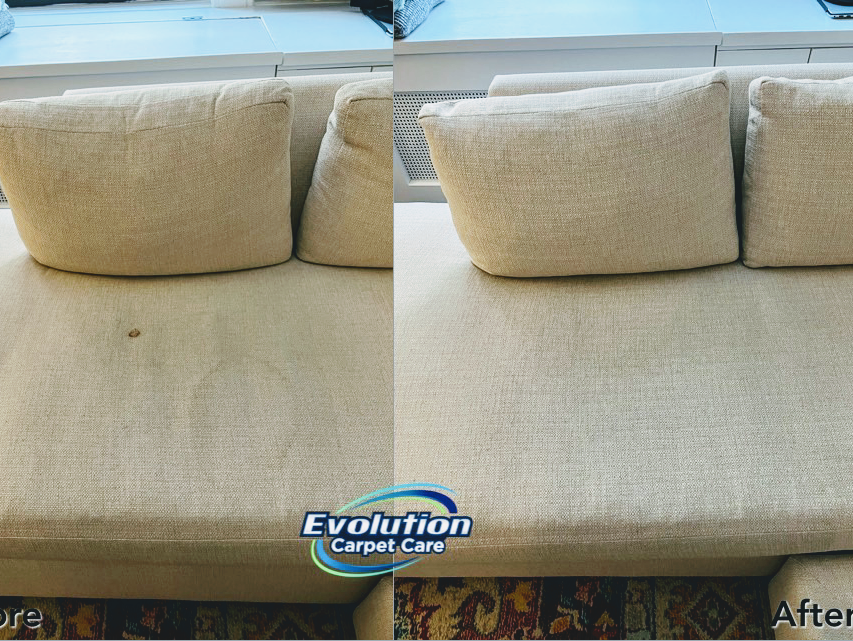 Evolution Carpet Care