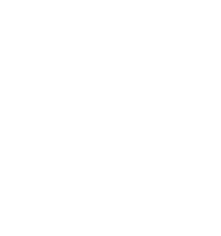 Valiant Partners LLC