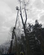 Barberton Tree Service