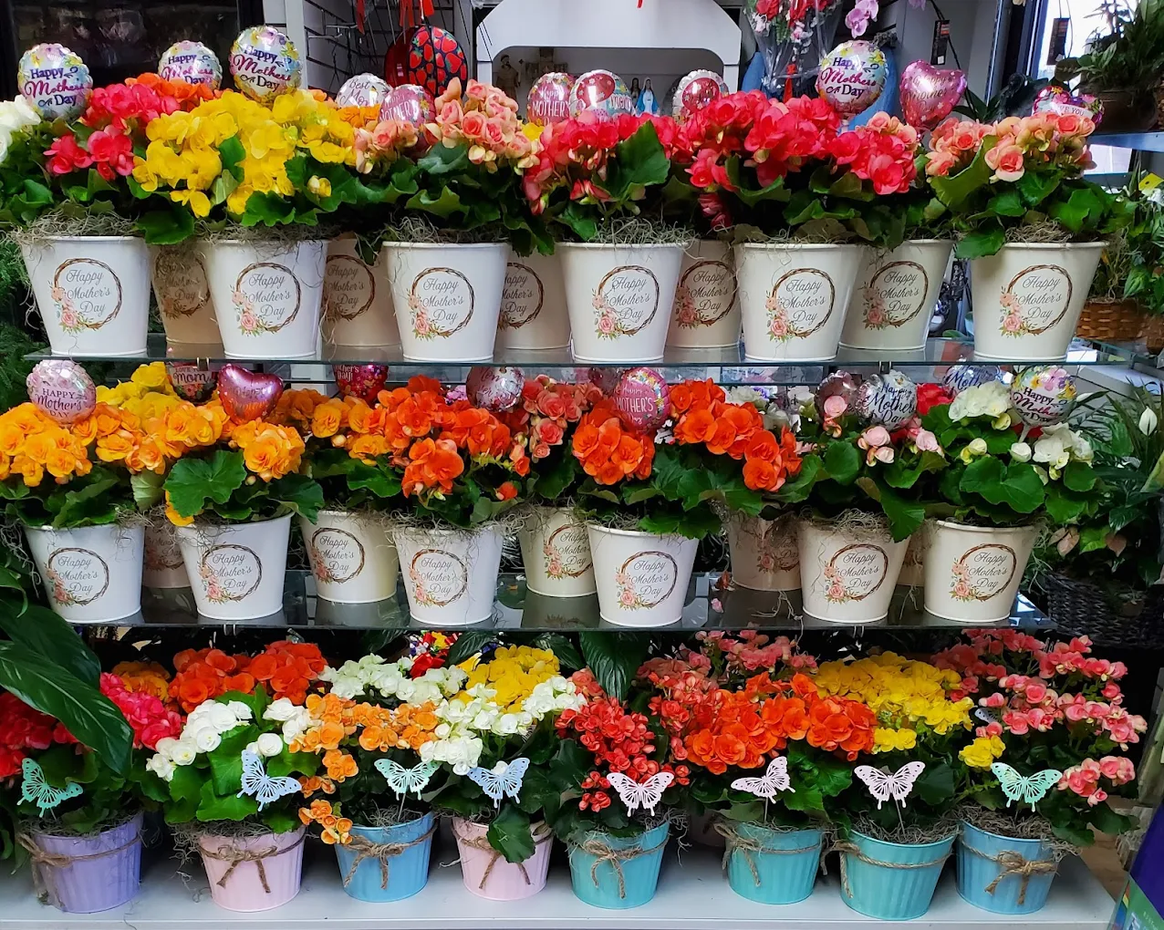Flowerama