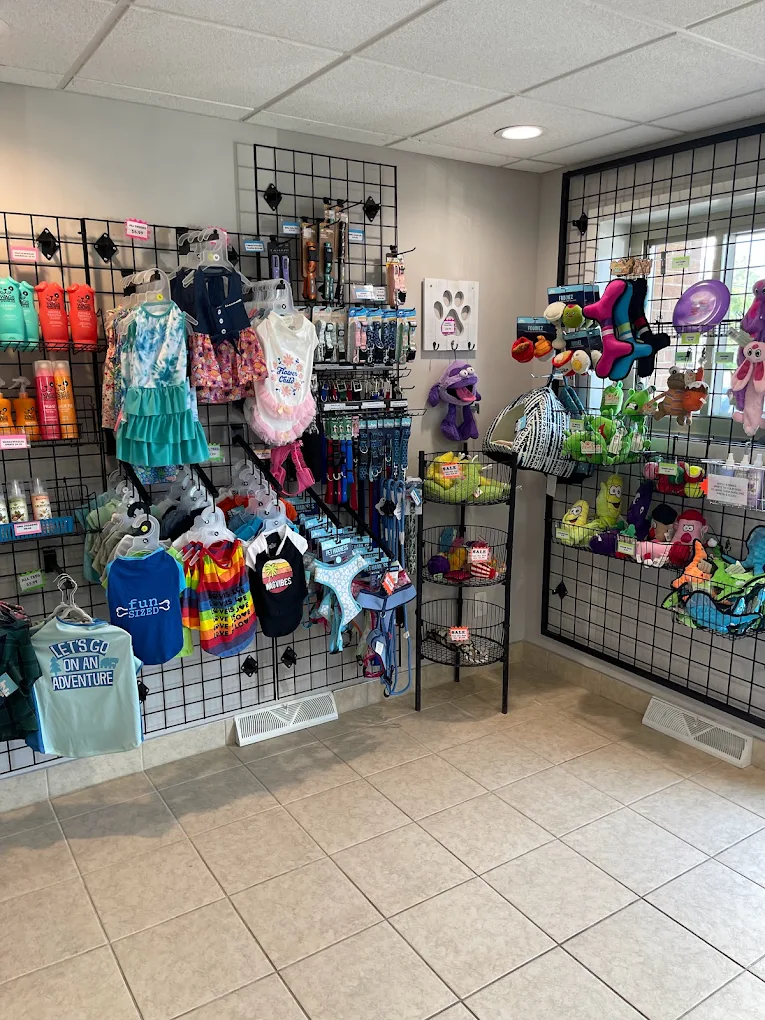 Wash Wag Dog Wash & Grooming