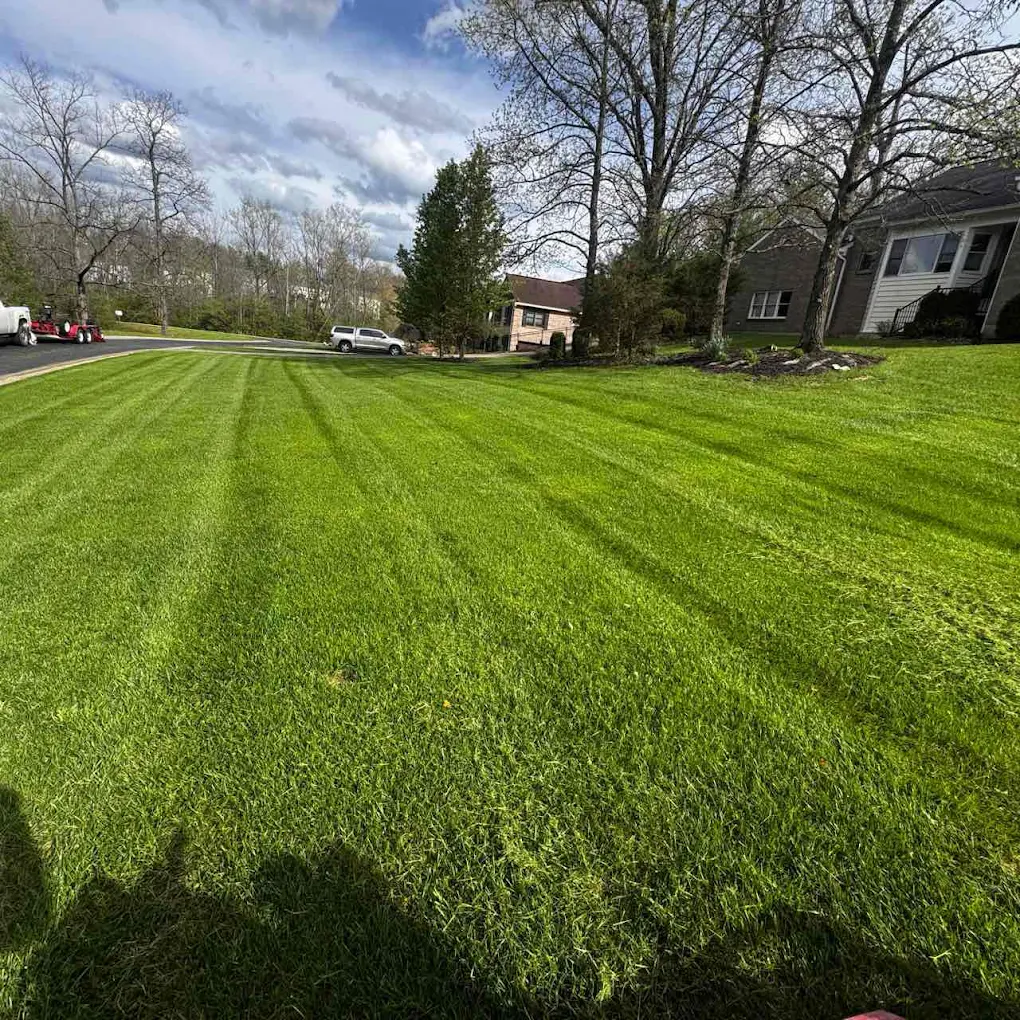 Lawn Love Lawn Care