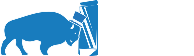 Buffalo Photo Booth Pros