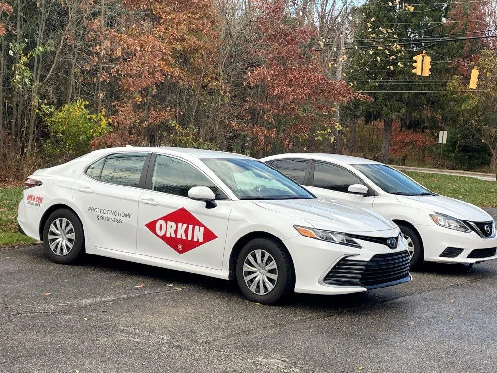 Orkin