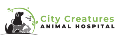 City Creatures Animal Hospital