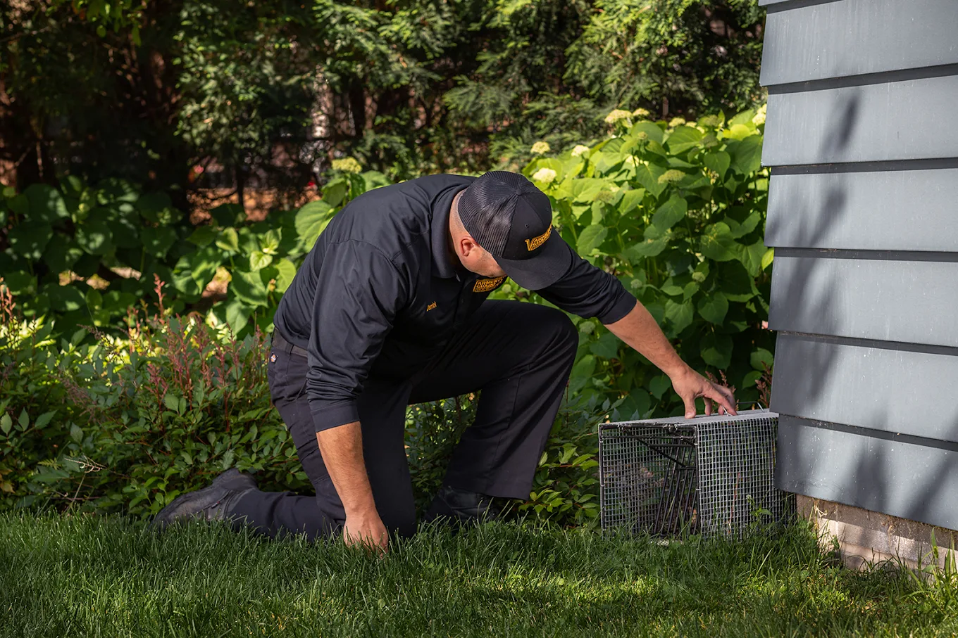Varment Guard Wildlife Services