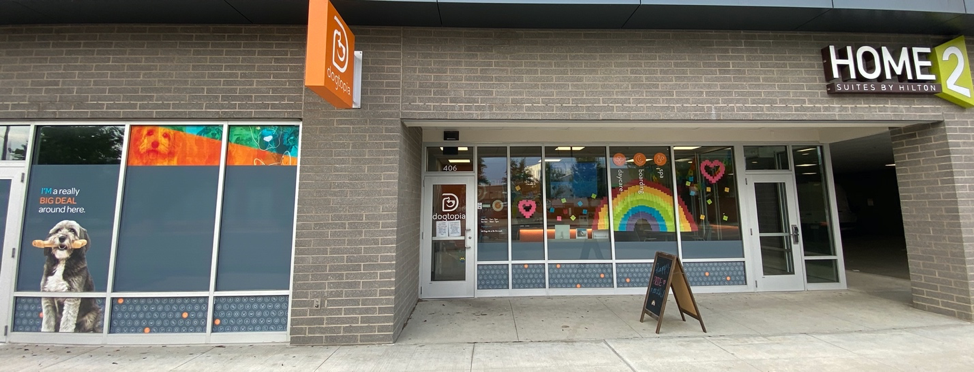 Dogtopia 