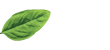 Basil Park Circle