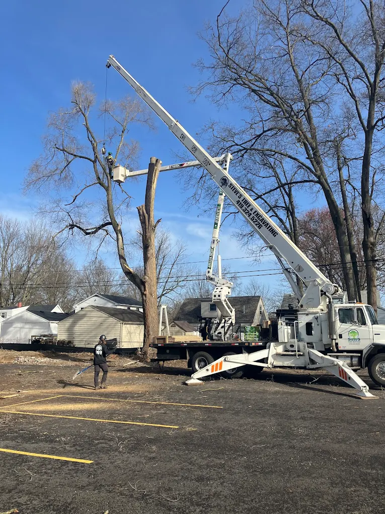 Steve's Tree Services