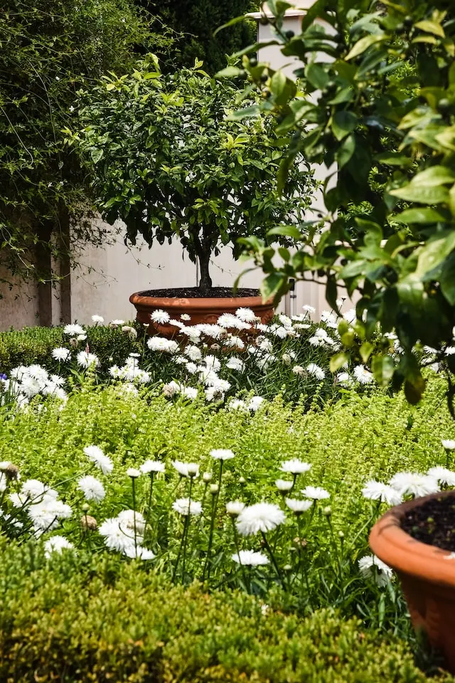 Proactive Landscaping