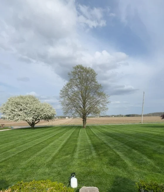 Legacy Landscape Lawn Care and Christmas Lights