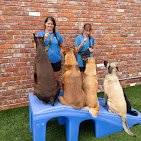 Woodland West Pet Resort