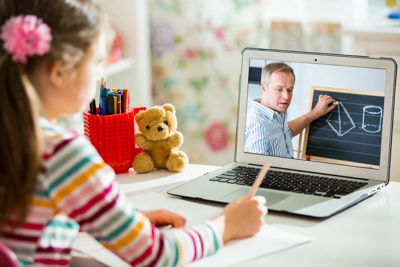 Diverse Interactive Learning