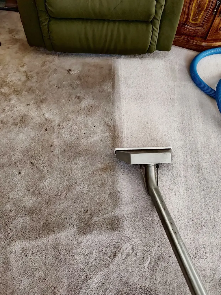 SteamJet Carpet Cleaning