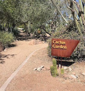 Glendale Xeriscape Garden