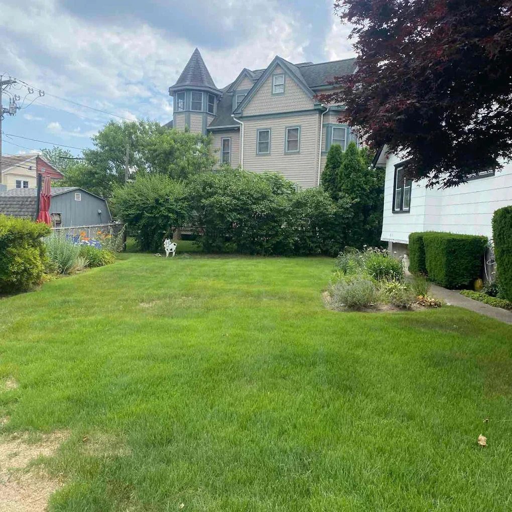 Lawn Love - Philadelphia
