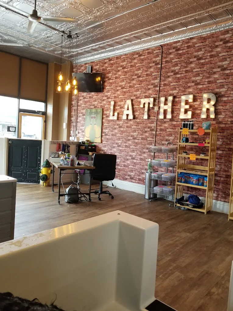 Lather. A Pet Bathhouse