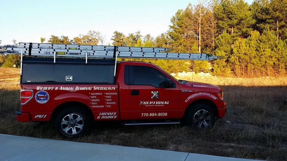 Xceptional Wildlife Removal