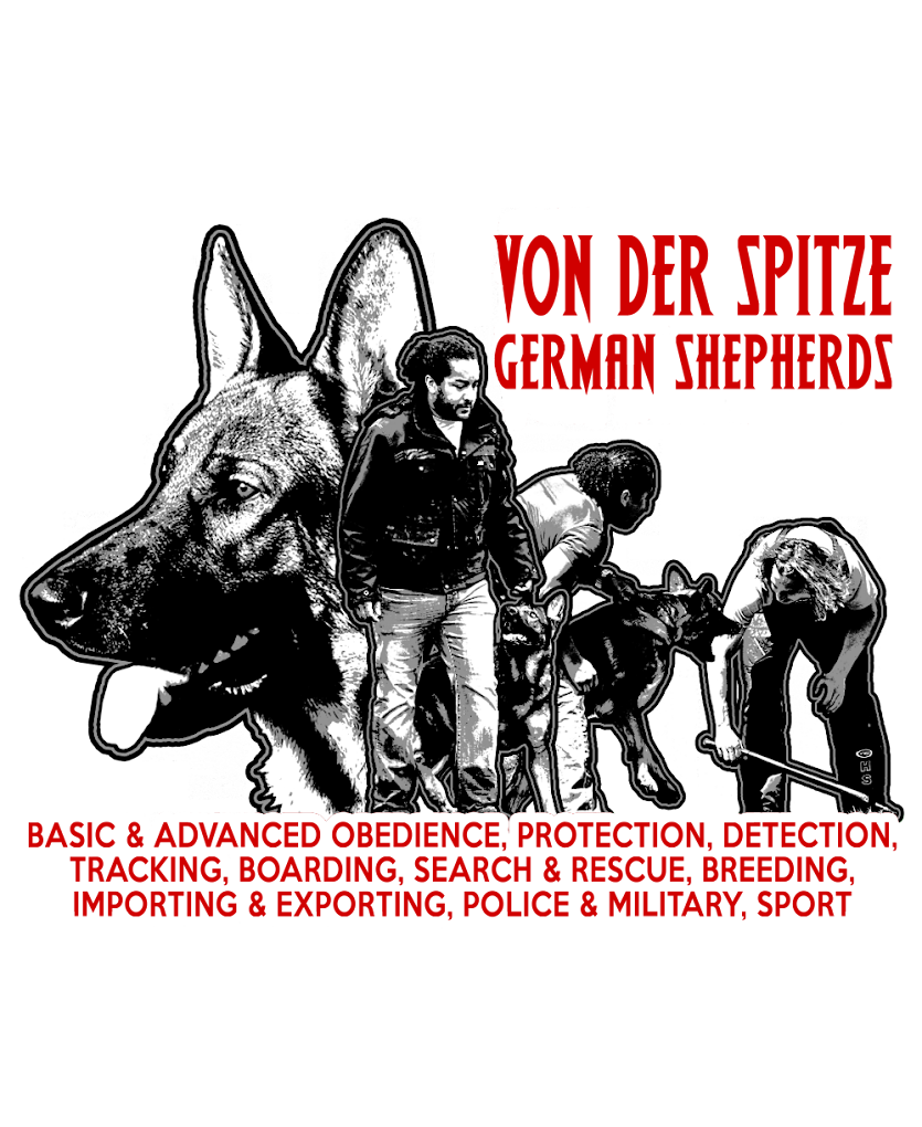 Spitze K9 Dog Training
