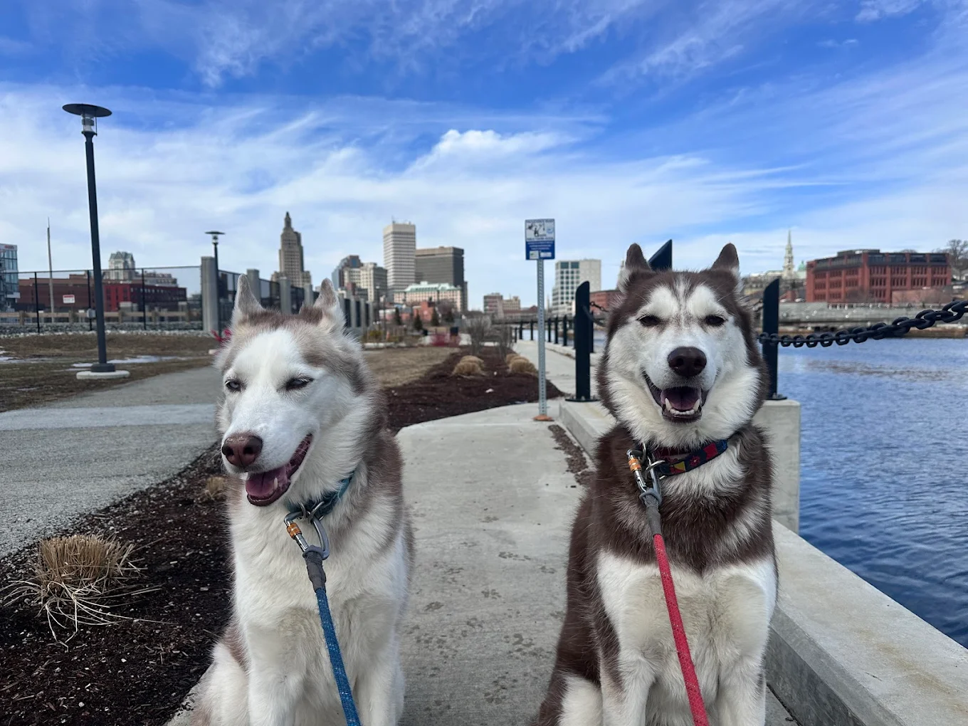 Junebug's Walks & Care LLC