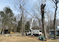 ED Professional Tree Service