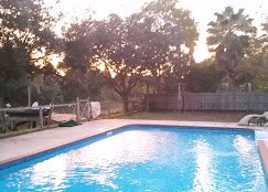 Charleston Pool Pros