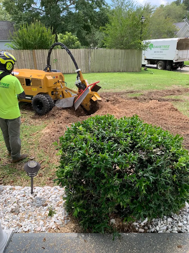 Davis Tree Company Inc.
