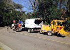 Canopy Tree Care