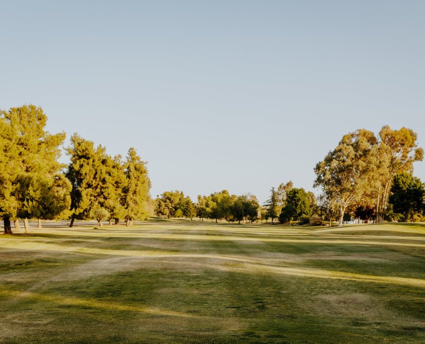 Scarlet and Gray Golf Club 