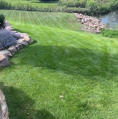 Clean Cut Lawn Care LLC